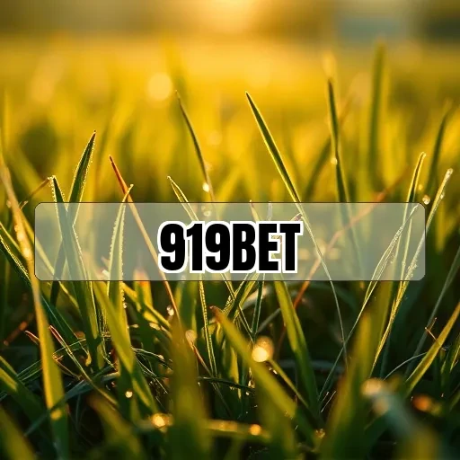 919bet.com: Como Aproveitar as Promoções e Impulsionar Seu Jogo